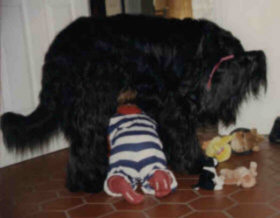 Lucifer Herding Child