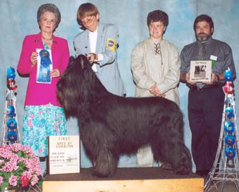 Eiledon's Licorice de Noir, Winner BCA National Bred By  Exhibitor Class