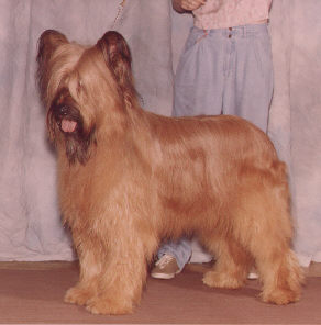 Filou Selection Photo, 1995 Rassemblement