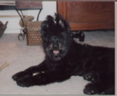Raisen in the Living Room