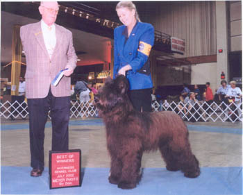 taz as Best of Winners