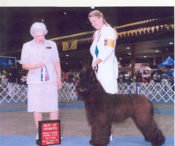 taz as Best of Winners