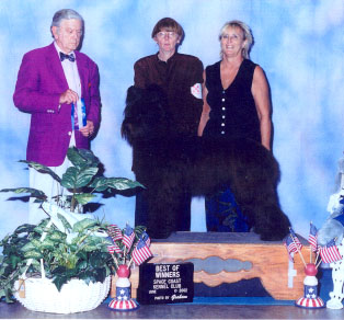 taz as Best of Winners