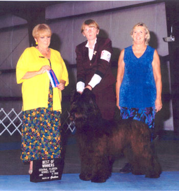 taz as Best of Winners